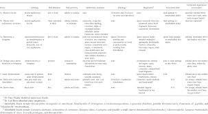 Sedimentology And Carbon Isotope 13c Stratigraphy Of