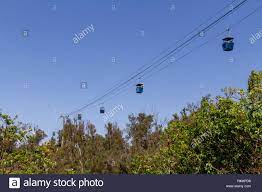 Maybe you would like to learn more about one of these? Der Skyfari Aerial Tram Cable Car San Diego Zoo Balboa Park California United States Stockfotografie Alamy