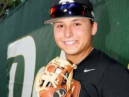 A look at the Volusia and Flagler area's baseball teams