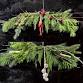 Holiday Swag Workshop event in Brant, ON