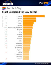 Porno gay : vos recherches les plus populaires de 2023 selon Pornhub
