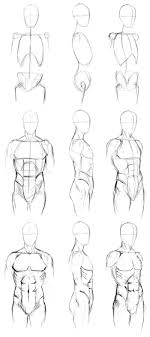 Human male torso anatomy : Basic Male Torso Tutorial Drawing People Anatomy Sketches Human Figure Drawing
