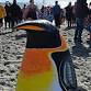 23rd Annual Penguin Plunge event image