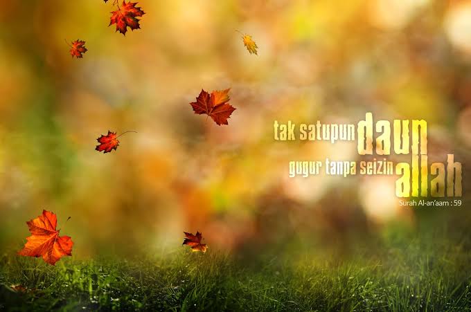 Semua Terjadi Atas Izin Allah, Tapi Belum Tentu Semuanya Allah Ridhoi