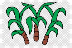 Sugar Cane Clipart Transparent Png Clipart Images Free Download Clipartmax Learn how to draw easy for kids pictures using these outlines or print just for coloring. sugar cane clipart transparent png