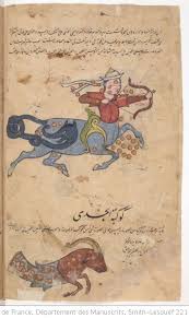 Al Qazwini ʿagaʾib Al Maḫluqat Wa ġaraʾib Al Mawgudat Gallica En 2020 Illustrations Reliure Bibliotheque Nationale De France