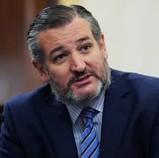 Ted Cruz, Ilya Shapiro under fire for criticizing Black woman for Supreme  Court seat