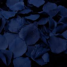 Navy Blue Flower Petals Blue Paint Blue Makeup Fashion Blue Wallpaper Sea Blue Sky Flowers Blue Water Blue Aesthetic Favorite Color Plum Flowers