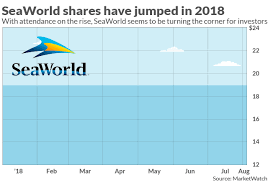 seaworld stock soars 18 as visitors return to its parks