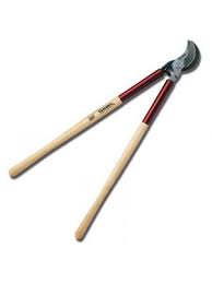 Free shipping for many products! Hand Loppers Sawing Pruning Arborist Tree Care