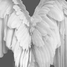 Black And White Angel Wings Aesthetic Moodboard Tumblr Wings Angel Art Angel