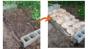5 out of 5 stars. Growing Mushrooms In The Garden Freshcap Mushrooms