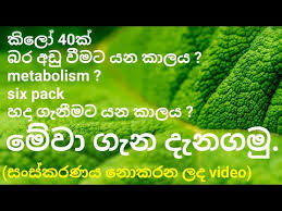 Weight Loss Guru Sinhala Youtube
