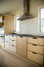 Kitchen Design Plywood In 2020 Plywood Kitchen Modern Kitchen Design Diy Kitchen Cabinets