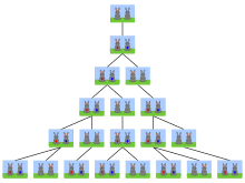 Fibonacci sequence is a sequence of numbers, where each number is the sum of the 2 previous numbers, except the first two numbers that are 0 and 1. Fibonacci Number Wikipedia