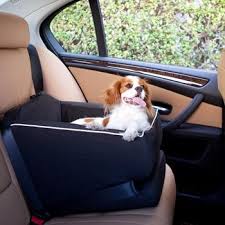 Puppy Car Safety Seat Pet Car Seat Animals Matter Pet Car