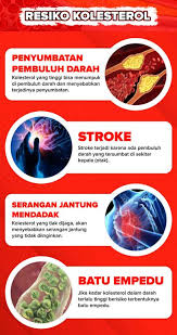 Karena keinginan untuk sembuh dari darah tinggi saya tinggi, saya langsung memesan mosehat, hanya 3 hari kiriman mosehat saya tiba dirumah dan bagusnya saya. 200 Kapsul Habbats Garlive Herbal Sehat Menurunkan Kolesterol Darah Tinggi Kadar Gula Dalam Tubuh Lazada Indonesia