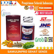 Untuk mempermudah dalam pemahaman ini, maka kita harus mengenal struktur. Jual Obat Alternatif Untuk Nyeri Pada Punggung Bawah Dan Tumit Obat Sakit Punggung Obat Nyeri Otot Punggung Bawah Dan Tumit Walatra Sehat Sendi Di Lapak Obat Herbal Original Bukalapak