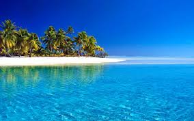Attractive Sea Wallpapers Puerto Rico Pictures Beach Wallpaper Palm Trees Beach