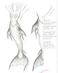 How to sketch a mermaid tail? Mermaid Tail Drawing Realistic