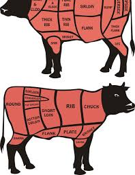 نتیجه جستجوی لغت [butchering] در گوگل