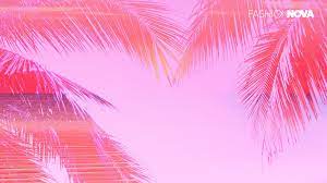 Zoom Background Pink Palms Abstract Artwork Background Abstract