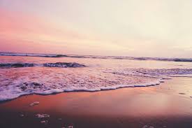 We did not find results for: Sunset Beach Background For Picsart Novocom Top