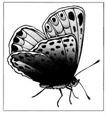 It has been suggested that. Biological Control Of Insect Pests Using Pest Break Strips Dietrick Institute For Applied Insect Ecology