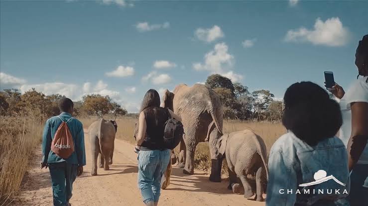 A vast private nature reserve offering wildlife game drives alongside one of the largest private collections of contemporary African art.