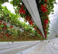 The Best Guide to Hanging Gutters in Greenhouses