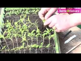 Terro 39 City Decorez Votre Balcon Ou Terrasse Avec Ce Terreau Original Youtube Planter Tomates Jardinage Potager Jardin Permaculture