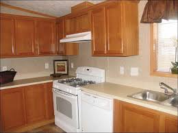kitchen paint ideas oak cabinets