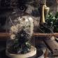Community Class: Botanical Bell Jars — Wild Gorse event image