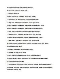 Anatomy Of The Heart Matching Worksheet Matching Worksheets Anatomy The Teacher Team