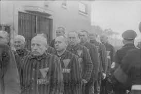 Cell in sachsenhausen concentration camp in germany. Sachsenhausen Concentration Camp Wikipedia
