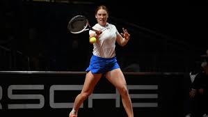 Image result for Seidelia