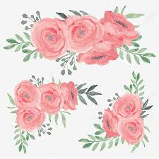 Coleccion De Decoracion De Ramo De Flores Rosas Acuarela Decoracion Naturaleza Hoja Png Y Psd Para Descargar Gratis Pngtree