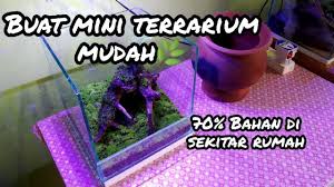 Terarium akan menampilkan taman miniatur dalam media kaca. Cara Membuat Terrarium Mini Miniatur Ekosistem How To Create Terrarium Youtube