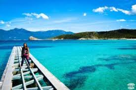 Corse Visiter Le Desert Des Agriates En 1 Journee Plage De Saleccia Plage Paradisiaque Tourisme