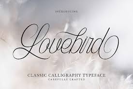 Version 1.000;ps 001.000;hotconv 1.0.38 rating: Pin By Catharina Kirk On Calligraphy In 2020 Free Font Free Fonts Download Download Fonts