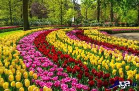 Image result for ‫عکس های منظره های زیبا‬‎