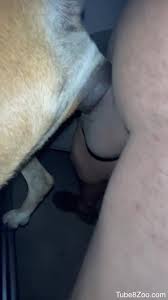 Horny man fucks with his dog in homemade zoophilia positions