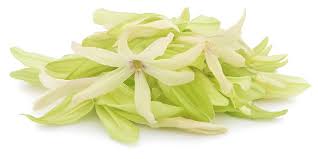 Image result for Telosma