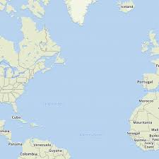 Image result for Coleochloa