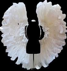 Indulge in the latest fashions & find your next favourite at victoria's secret online now! Amazon Com Da Neena Gigantic White Ostrich Feather Angel Victoria Secret Backpiece Wings Everything Else