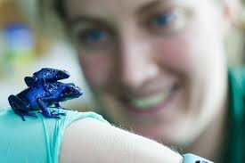 Keepers breed blue frog for the first time