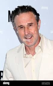 David hutchins hi-res stock photography and images