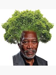 What are some famous people with plant pun names?
