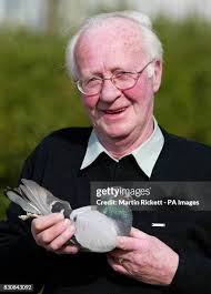 8,655 Roden Stock Photos, High-Res Pictures, and Images