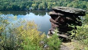 Devils Tea Table Outdoor Missing Home Tea Table